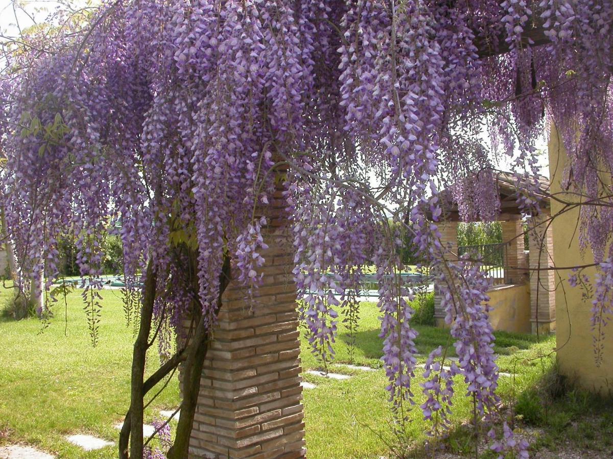 Casavacanze Sant'Eugenia Attigliano Buitenkant foto